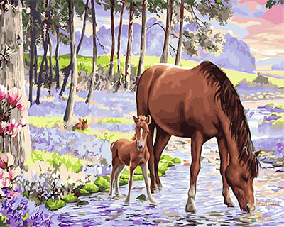 Tier Malen nach Zahlen GX28390