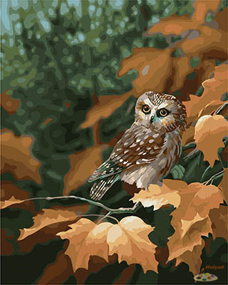 Tier Malen nach Zahlen GX28399