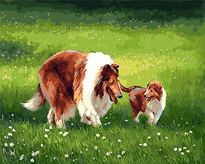 Hund & Katze Malen nach Zahlen GX28401