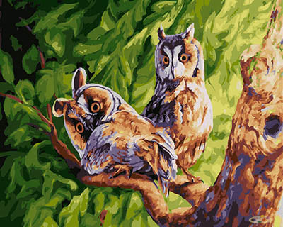 Tier Malen nach Zahlen GX28409