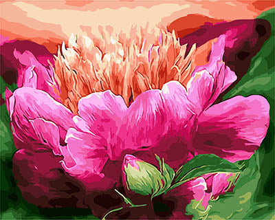 Blume Malen nach Zahlen GX28465