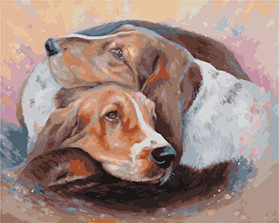 Hund & Katze Malen nach Zahlen GX28491