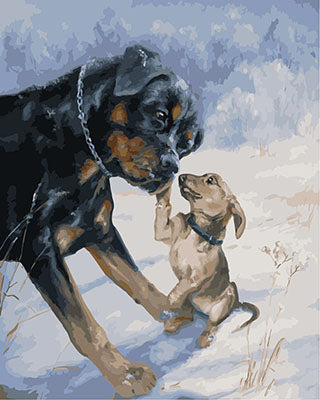 Hund & Katze Malen nach Zahlen GX28494