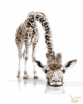 Tier Malen nach Zahlen GX28543