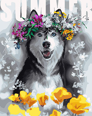 Hund & Katze Malen nach Zahlen GX28564