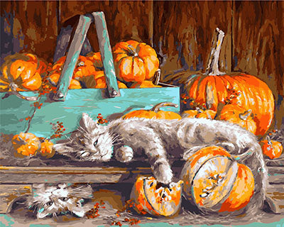 Hund & Katze Malen nach Zahlen GX28572