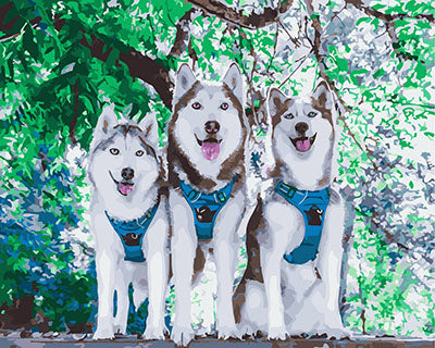 Hund & Katze Malen nach Zahlen GX28619