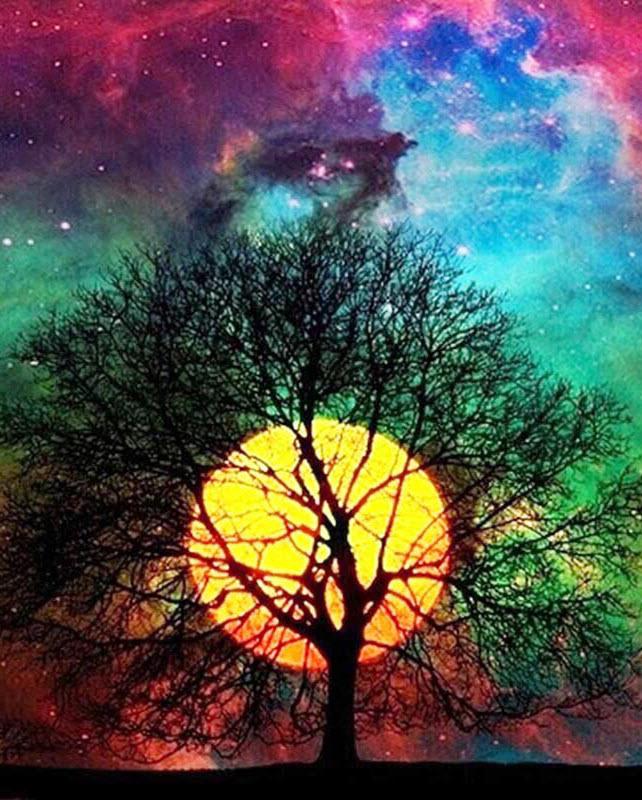 Baum Malen nach Zahlen For Adult GX2862