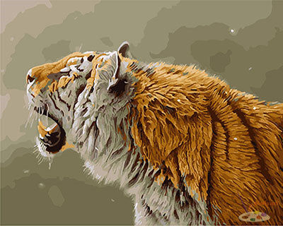 Tier Malen nach Zahlen GX28702