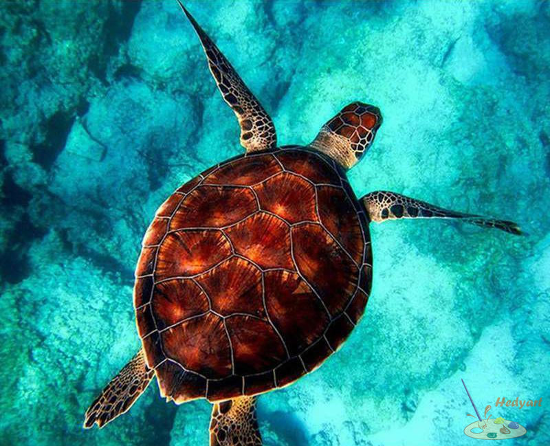 Tier Malen nach Zahlen GX2870