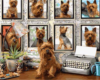 Hund & Katze Malen nach Zahlen GX28741