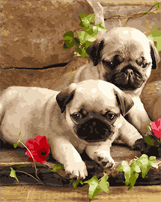 Hund & Katze Malen nach Zahlen GX28767