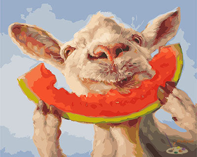 Tier Malen nach Zahlen GX28768