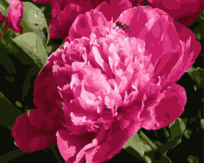 Blume Malen nach Zahlen GX28793