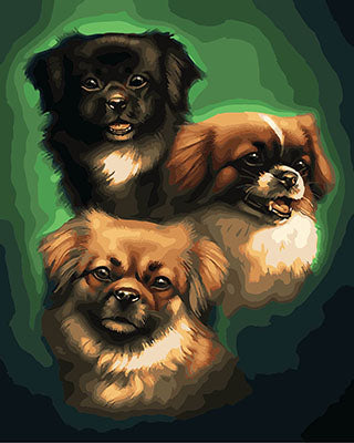 Hund & Katze Malen nach Zahlen GX28807