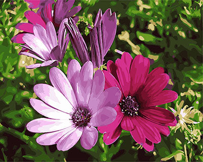 Blume Malen nach Zahlen GX28882