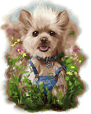 Hund & Katze Malen nach Zahlen GX28898