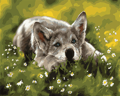 Hund & Katze Malen nach Zahlen GX28925