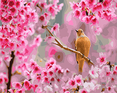 Vogel Malen nach Zahlen GX28937