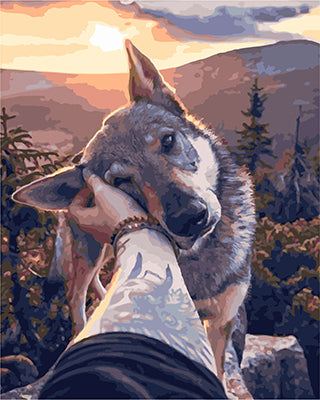 Hund & Katze Malen nach Zahlen GX28953