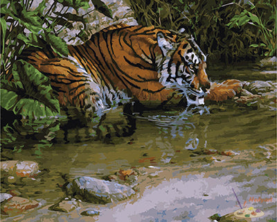 Tier Malen nach Zahlen GX29083