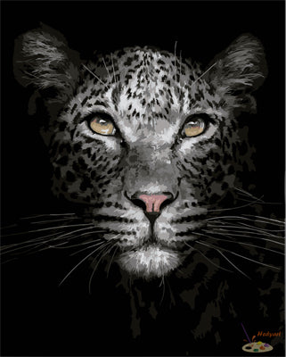 Tier Malen nach Zahlen GX29190