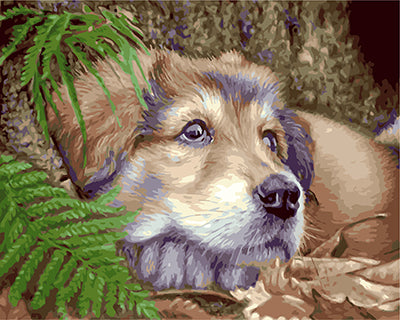 Hund & Katze Malen nach Zahlen GX29218