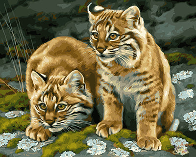 Tier Malen nach Zahlen GX29224