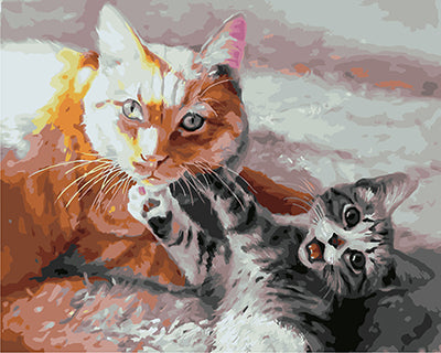 Hund & Katze Malen nach Zahlen GX29232