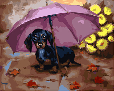 Hund & Katze Malen nach Zahlen GX29233