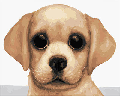 Hund & Katze Malen nach Zahlen GX29278