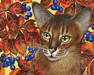 Hund & Katze Malen nach Zahlen GX29320