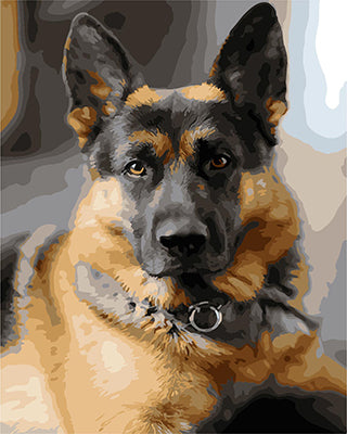 Hund & Katze Malen nach Zahlen GX29392