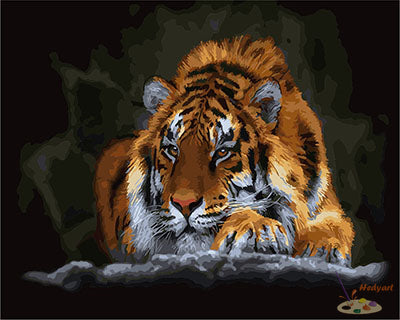 Tier Malen nach Zahlen GX29461