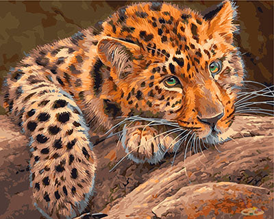 Tier Malen nach Zahlen GX29463