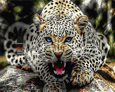 Tier Malen nach Zahlen GX29466