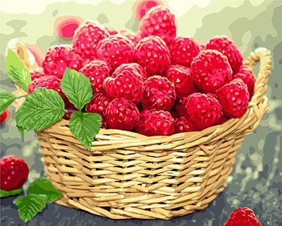 Stillleben Malen nach Zahlen GX29468