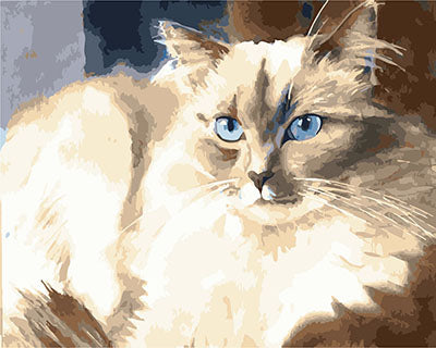 Hund & Katze Malen nach Zahlen GX29502