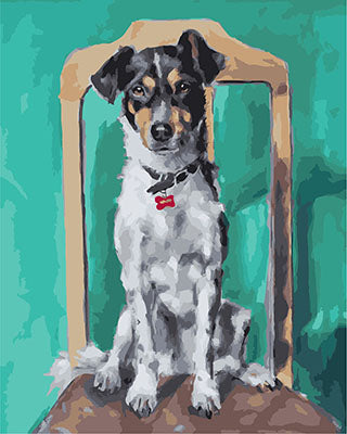 Hund & Katze Malen nach Zahlen GX29564