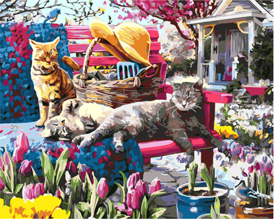 Hund & Katze Malen nach Zahlen GX29588