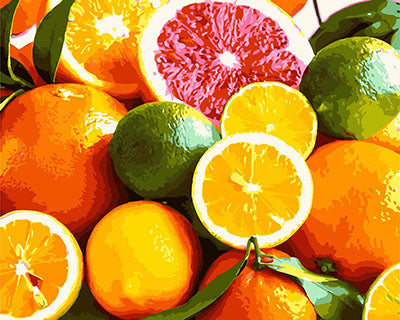 Stillleben Malen nach Zahlen GX29619