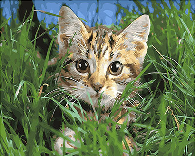 Hund & Katze Malen nach Zahlen GX29634