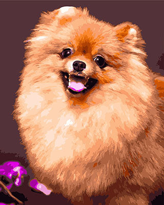 Hund & Katze Malen nach Zahlen GX29645