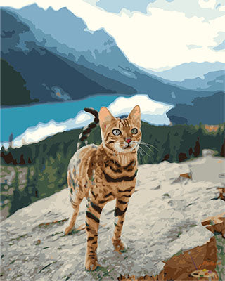 Tier Malen nach Zahlen GX29669