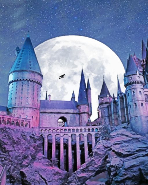 Movie Paint By Numbers Kits UK HPH1805