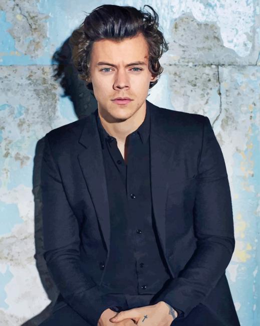 Porträt Malen nach Zahlen HS8531