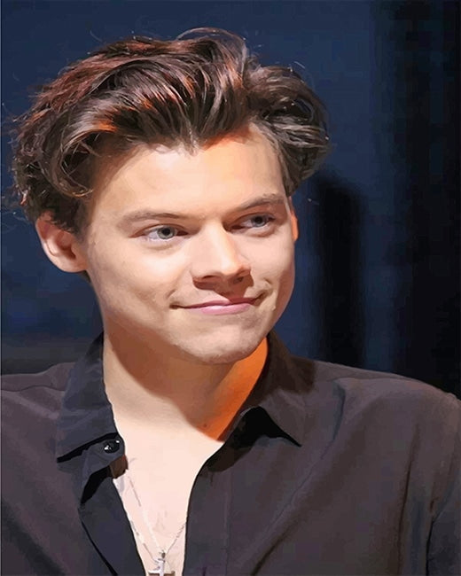 Porträt Malen nach Zahlen HS8532