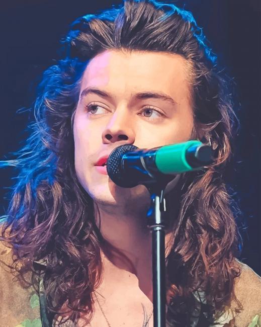 Porträt Malen nach Zahlen HS8534