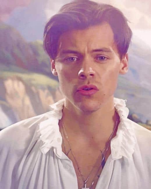 Porträt Malen nach Zahlen HS8538