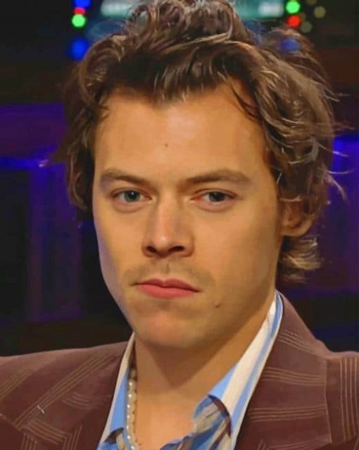 Porträt Malen nach Zahlen HS8541